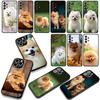 Phone Cover Pet Pomeranian Dog Casing for Xiaomi Poco F7 F6 F8 Ultra F5 X7 X6 X5 X3 NFC M7 M6 Pro C85 C75 C65 C71 C61 Case