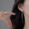 Cat's Eye Tassel Ear Chain 2024 Trend: Elegant Long Earrings with Light Luxury Design
