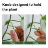 Зажим для крепления растений, настенный зажим для фиксации лозы, самоклеящийся крючок, невидимые зажимы для поддержки растений, вьющиеся растения для помещений и улицы