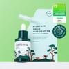 ROUND LAB Pine Soothing Cica Ampoule 30ml Refill Plan with a free gift of the original product