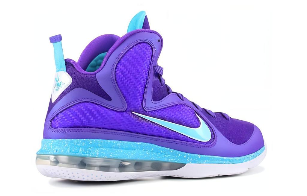 Nike LeBron 9 Summit Lake Hornets 469764-500