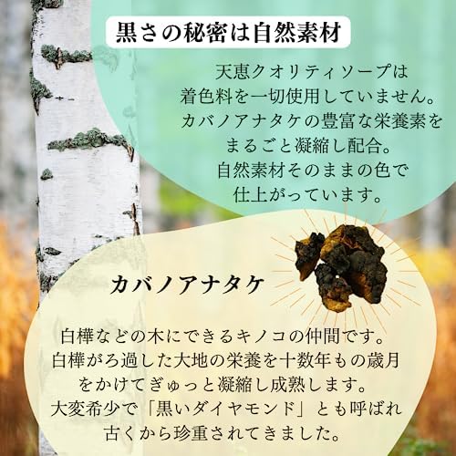 Plus Care Tenkei Quality Soap (1 Piece)