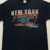 Gildan Mens New York NY 1664 Skyline Graphic T-Shirt Navy Blue Large Unisex T-Shirt