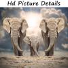 Современные постеры и принты с животными, настенная живопись на холсте, стадо африканских слонов, картины для гостиной, Декор Куадрос, безрамное