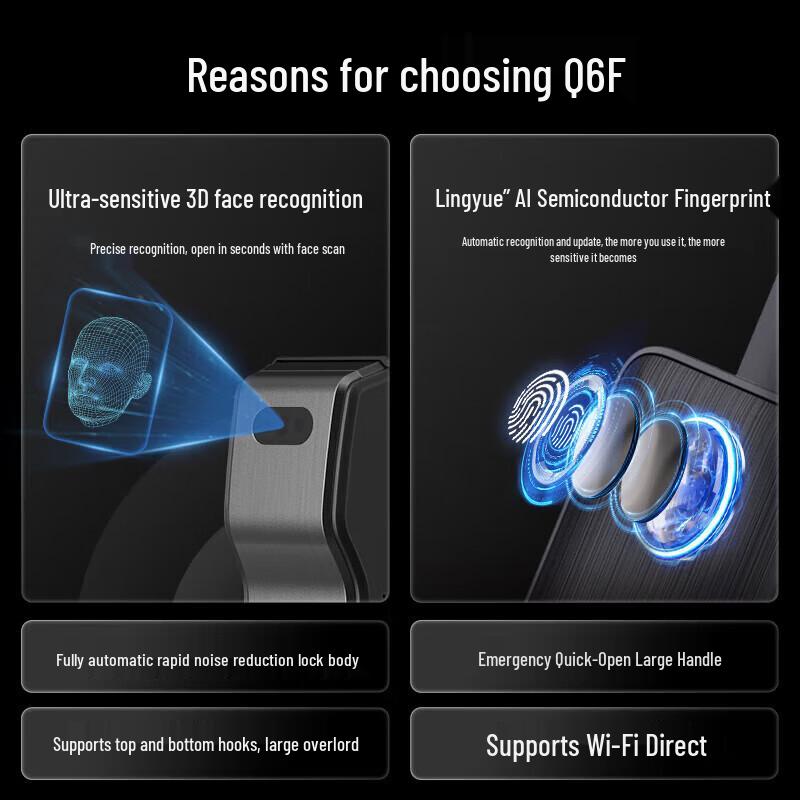KAADAS Q6F Smart Face Recognition Door Lock