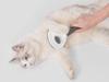 Pet Brush (100) Gab_A