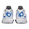 Nike Zoom Kd 4 Qs Battle Tested AQ5103-100