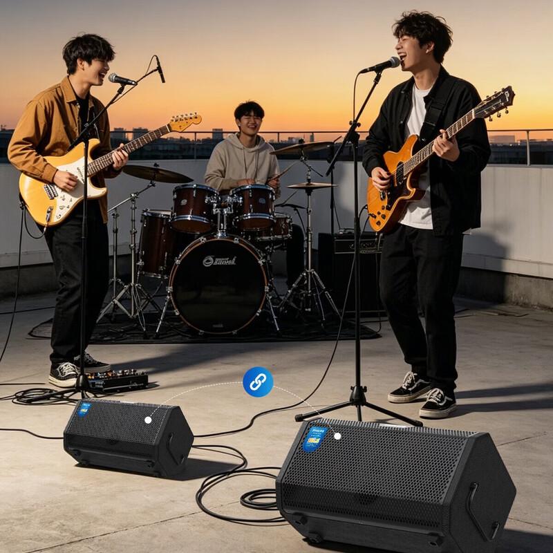 Philips SD420 Портативный Bluetooth Профессиональный Инструментальный Динамик (Китайская версия)