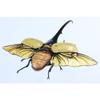 Free Research Series No.26 Living Creatures Edition Hercules Beetle Plastic Model