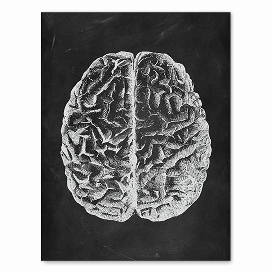 Human Anatomy Artwork Medical Clinic Wall Picture Skeleton Organ Muscle System Vintage Canvas Print Body Education Poster