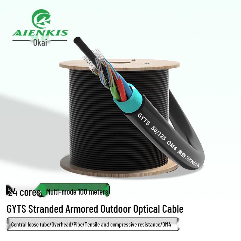 AIENKIS Outdoor Armored Multimode Fiber Optic Cable