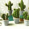 Durable Artificial Cactus Ornamental Melamine Useful