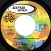 7-дюймовая пластинка B.T. EXPRESS Делай, пока не будешь доволен SCE12395 SCEPTER 1974 США SoulFunk Б/у
