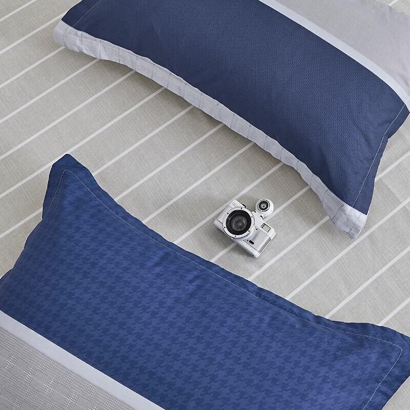 Комплект постельного белья из 4 предметов с принтом Louis Kellog Raphael