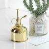 Flower Vintage Garden Kettle Sprinkler 300ml Spray Bottle Watering Pot Watering Bottle Sprayer