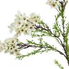 Hill Interiors The Natural Garden Collection Waxflower Artificial Flower