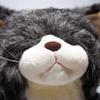 Cuddly Smile Kanta Cat Plush Brown and Mixed Pattern Toy, Tabby,