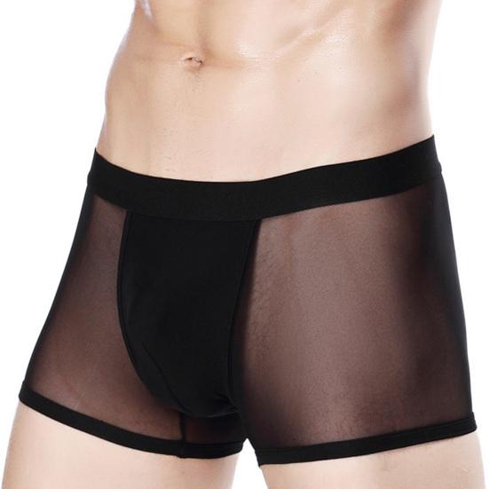 Men Boxer Underwear Mid-rise Perspective Mesh Yarn Sexy Shorts Panties Solid Color Hollow Panties Daily Wear