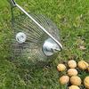 Грецкие орехи Каштаны Сборщик Алюминиевый сплав Сборщик фруктов Быстрый сборщик фруктов Сбор шаров Садовый инструмент Садовый валик-сборщик