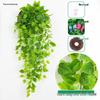 Artificial Green Plant Wall Décor - Rattan Hanging Vines with Pothos and Spider Plant for Indoor Living Room