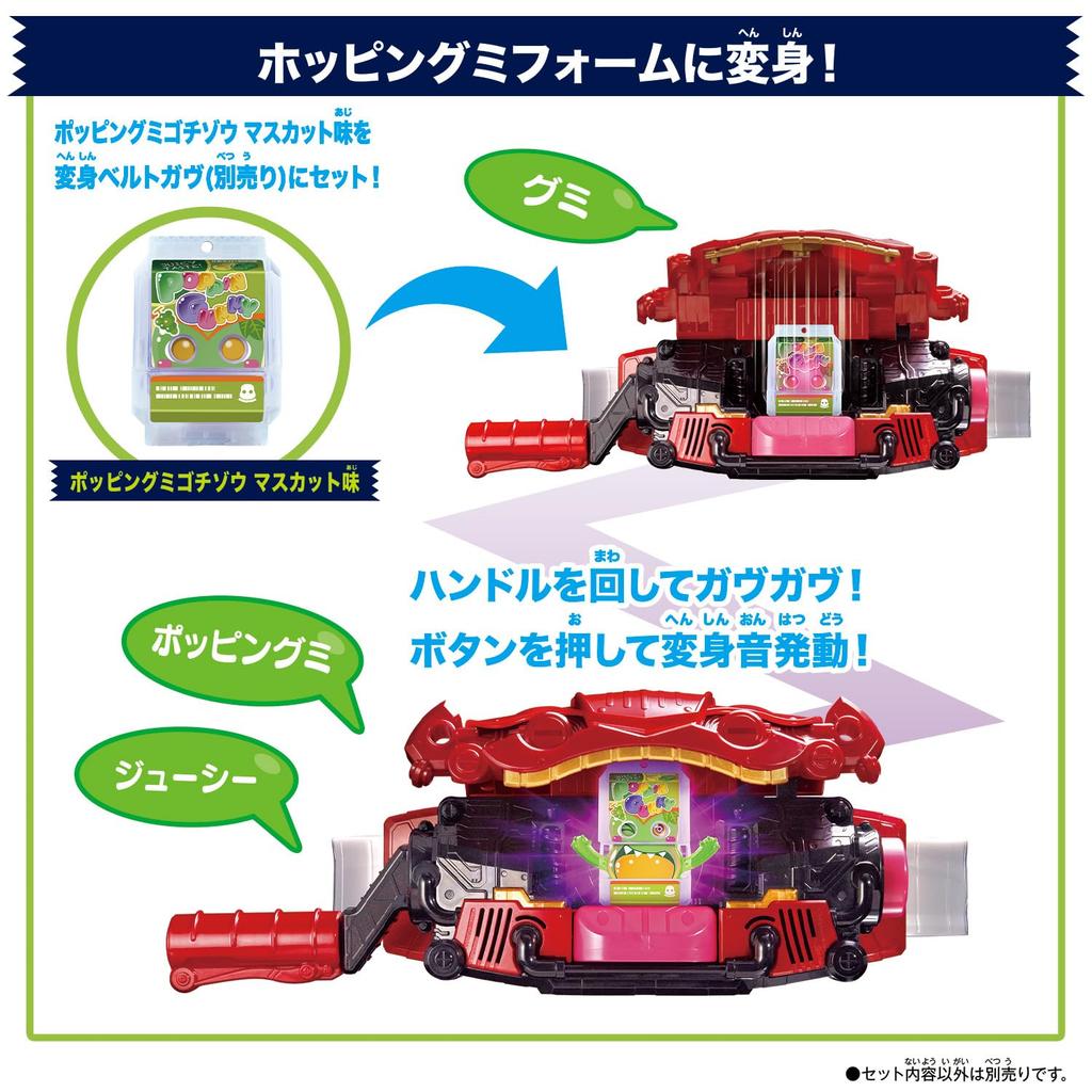 Kamen Rider Gab DX Rider Gochizo Set New Species [BANDAI] Discovered! ver.03