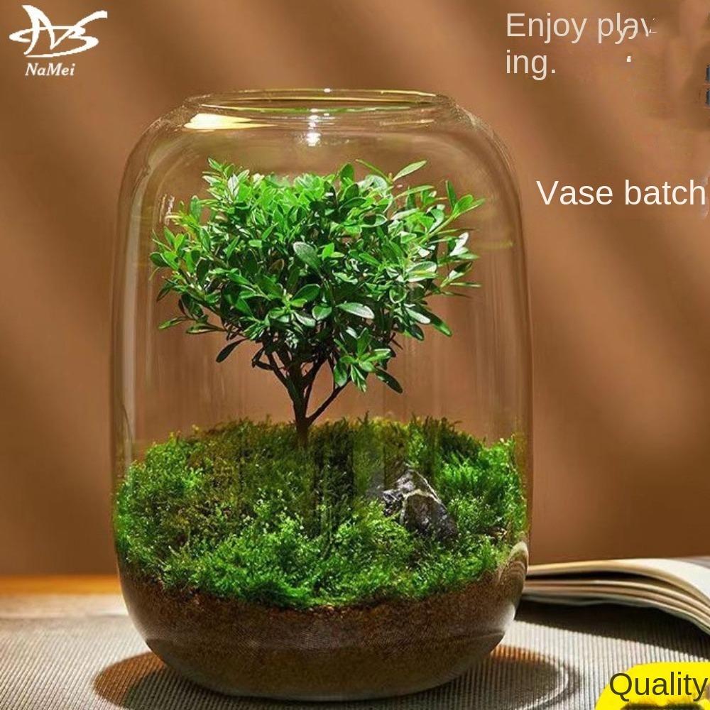 Террариумный контейнер, стеклянная ваза для микроландшафта, цветочные горшки, ваза для гидропонных растений, цветочная бутылка