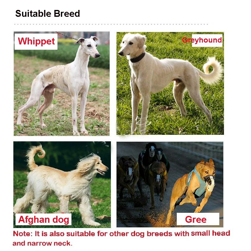 Светоотражающий ошейник для домашних животных, поводок Gree Greyhound Whippet, тонкий брезентовый светящийся ошейник для маленьких/средних/больших собак