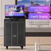NEWMINE N517 Home KTV Karaoke System with 17-inch Display