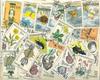 Настоящие Штемпелеванные Все Чехословацкие Почтовые Марки 100 Разных Марок Коллекционные Почтовые Марки Коллекционирование Альбом для Вырезок И Штамповка
