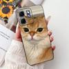 Чехол для Infinix Hot 50i X6531 Новый модный чехол из мягкого силикона с рисунком Цветок Сердце Для Infinix Smart 9 Smart9 X6532 Бампер