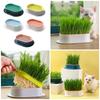2Pcs Cat Grass for Indoor Cats Growing Kit Organic Seed Mix Soil Cat Planter Natural Hairball Control Cat Gifts