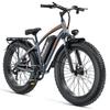 MALZAHAR DZ‑F01 Adult Fat‑Tire E‑Bike, 250W, 48V 23.4AH Removable Battery, Hydraulic Disc Brake 26"×4.0" All Terrain Electric Bicycle