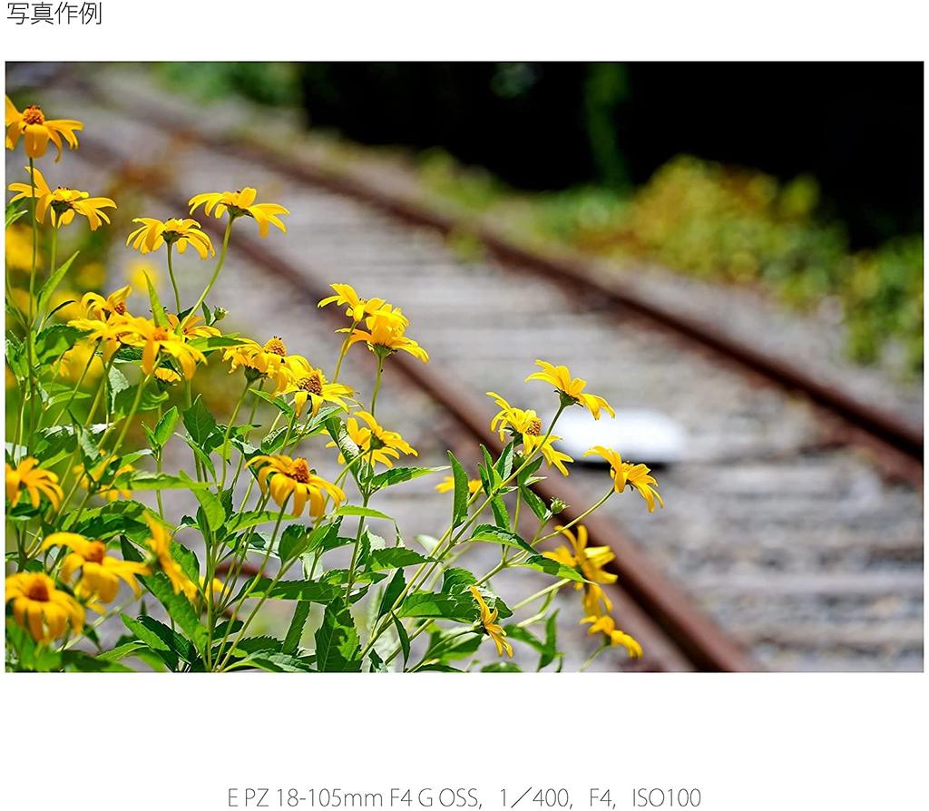 Sony Standard Zoom Lens APS-C E PZ 18-105mm F4 G OSS G Lens Genuine Lens for Digital Single Lens Camera [E Mount] SELP18105G