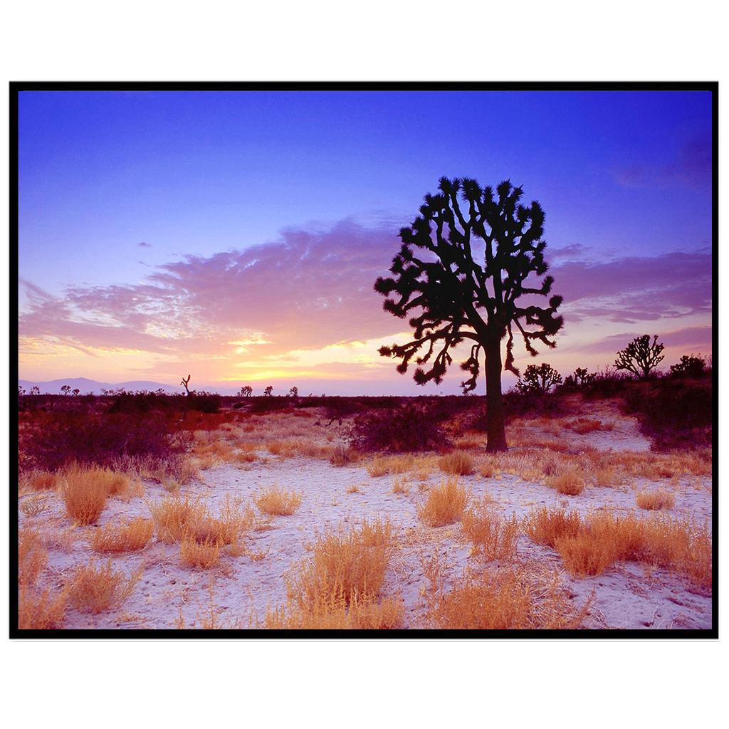 5D алмазная живопись «сделай сам», пейзажная архитектура, полный бриллиант, ручная работа, алмазная вышивка, мозаика, украшение для дома, подарок