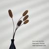 Chinese Zen Lotus Pod Dried Flowers: Natural Lotus Root & Flower for Home Décor and Ikebana Display