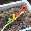 50/100/150/200 PCS plant stem fixator, garden strawberry planting fork, watermelon fixing fixture, clamp, plant bracket