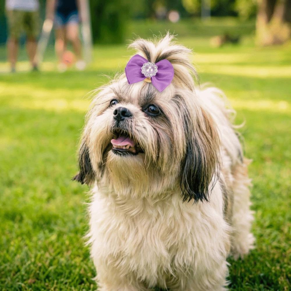 20pcs Bow Knot Shape Dog Hair Bows Assorted Colors Puppy Hair Rubber Bands Daily Grooming