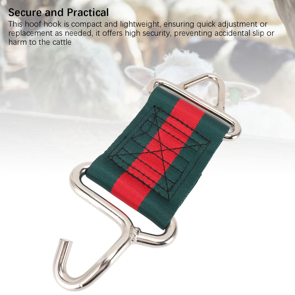 Крючок для фиксации копыт лошади, крючок для крепления из нейлоновой ткани из нержавеющей стали для обрезки копыт крупного рогатого скота