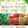Liposomal Zinc 15mg + Multivitamins (12 types: Vitamin E, Vitamin B1, Vitamin B6, Vitamin B12) - Shin Nippon Health - 60-day supply