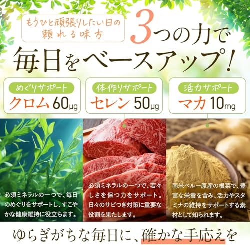 Liposomal Zinc 15mg + Multivitamins (12 types: Vitamin E, Vitamin B1, Vitamin B6, Vitamin B12) - Shin Nippon Health - 60-day supply
