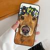 Golden Retriever Dog For Realme GT7 GT6 15 Pro 10 11 12 13 14 Pro Plus C65 C63 C61 C55 C51 C53 C35 C75 C67 Case