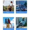 Professional Referee Whistle High Frequency Sport Whistle Training Match Dolphin Whistle  Soccer
