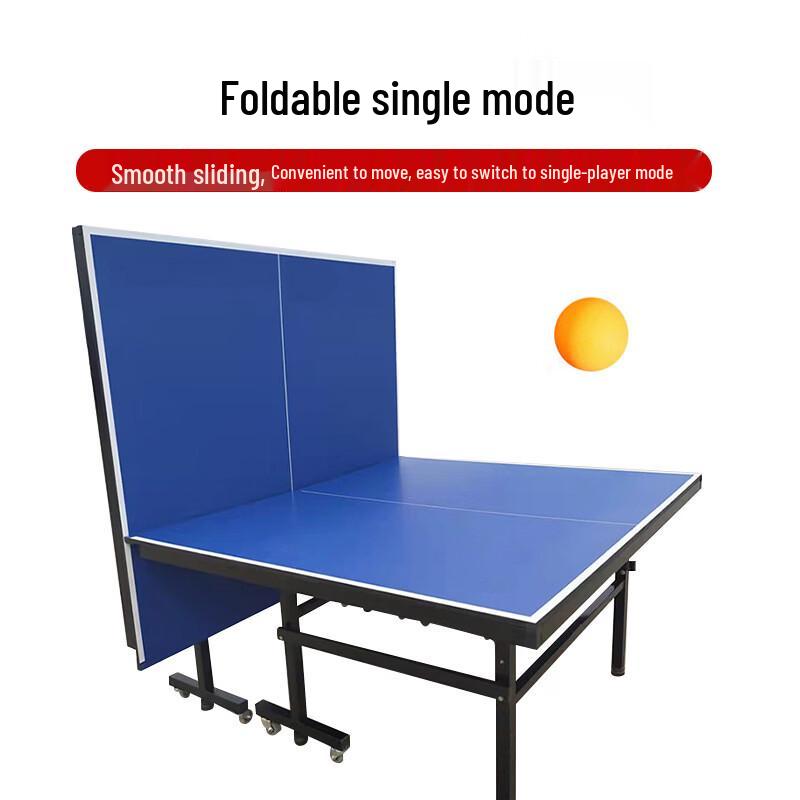 Portable Table Tennis Table