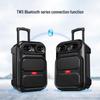 Bluetooth-колонка на колесиках aigo S56 12 дюймов (Китайская версия)
