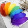 Soft Goose Feather 13-18Cm Natural Swan Plume For Diy Jewelry Creation Handicraft Accessories Wedding Party Decoration