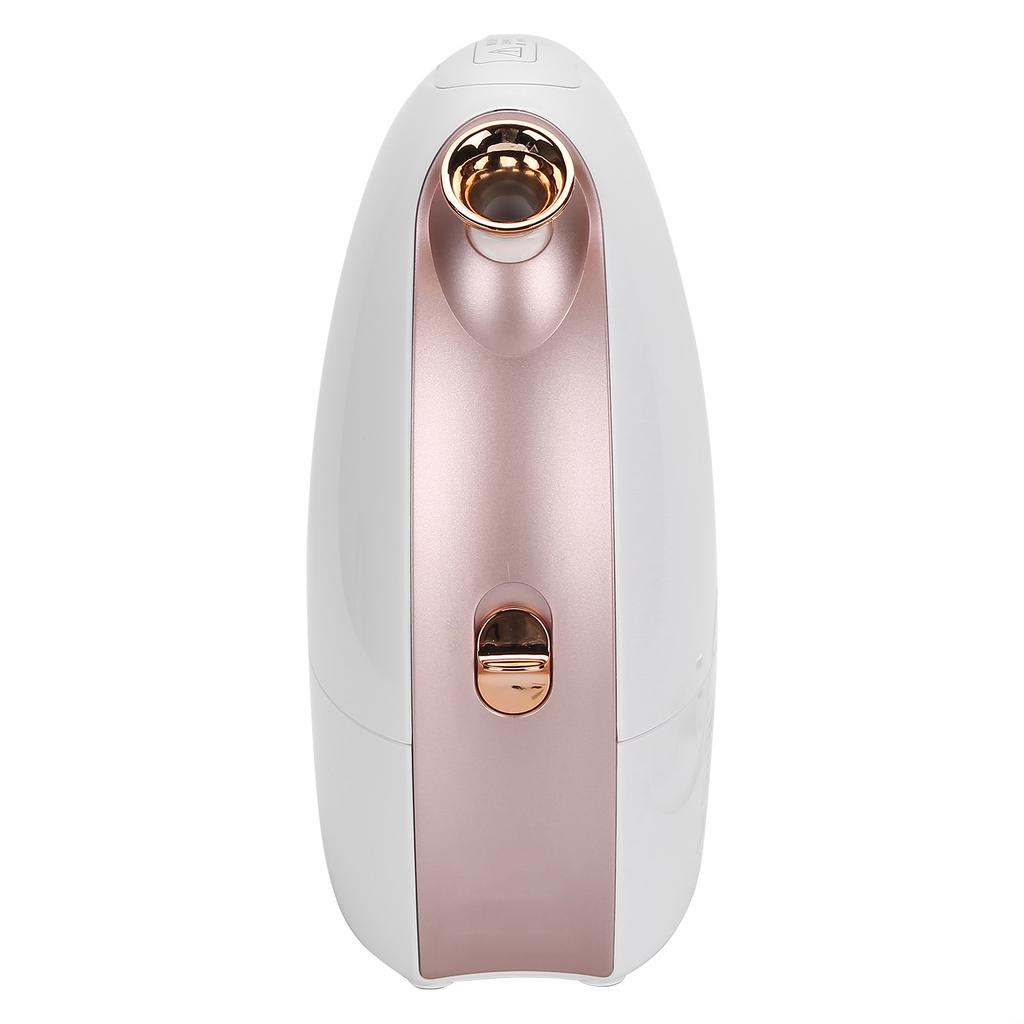 Facial Steamer Cold Hot Dual Nano Mist Sprayer Moisturizing Face Humidifier