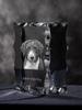 Spanish Water Dog - crystal with a picture of a dog, glass statuette with a picture, unique frame with a picture from Art-Dog brand