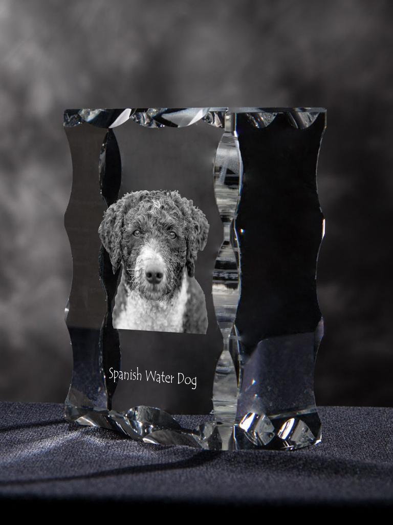 Spanish Water Dog - crystal with a picture of a dog, glass statuette with a picture, unique frame with a picture from Art-Dog brand