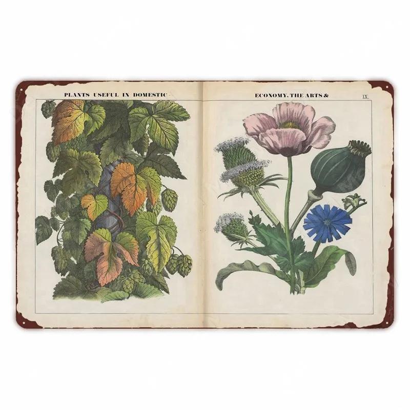 Ретро плакат с овощами и растениями, винтажный металлический жестяной знак с фруктами, настенная вывеска с цветной капустой, садовая кухонная ферма, цветы, тарелка, декор