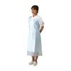 IWATSUKI Plastic 100 Aprons, Pieces, Blue, 004-41392
